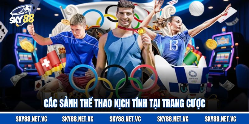 Các sảnh thể thao kịch tính tại trang cược